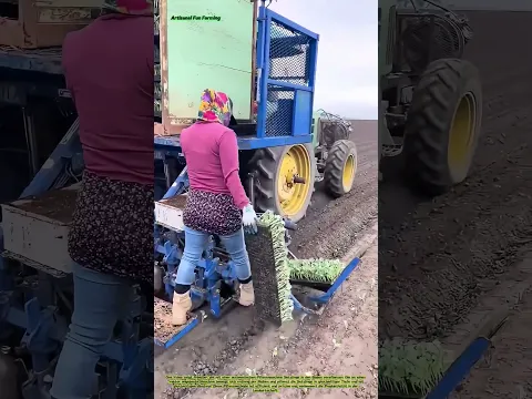 Betrieb einer automatischen Pflanzmaschine