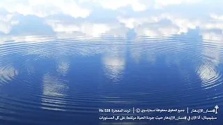 جلسة #مسار_الازدهار (تردد المعجزة 528هرتز مع سبليمينال) صلاح الراشد