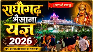 भैसाना महायज्ञ 2026 🔥 | मध्य प्रदेश का सबसे विशाल 151 कुंडीय यज्ञ | Raghogarh Bhainsana Yagya