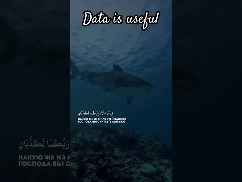 Best Quran / listening Quran.   #beautiful #data #quran