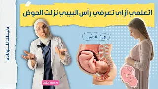 اتعلمى ازاى تعرفى 👶 رأس البيبى🤰 نزلت الحوض ب 5 طرق بسيطة فى البيت و بنفسك🤚 |د. ريهام الشال