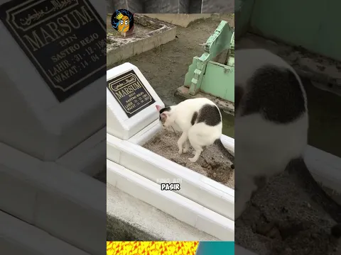 Lu Ketawa, Lu Harus Batal Puasa - Tahan Tawa (Part 186)
