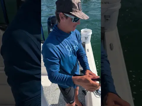 What's better than 1 Tarpon...