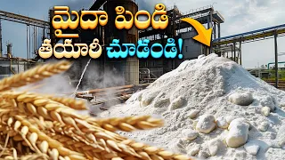 ఫ్యాక్టరీ లో మైదా పిండి ఎలా తయారు చేస్తారు? | How Maida is Made?