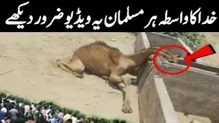 Hazrat Muhammad S.A.W or Bhokey Aunt Ka Waqia
