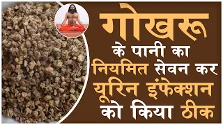 गोखरू के पानी का नियमित सेवन कर यूरिन इंफेक्शन (Urine Infection) को किया ठीक || Swami Ramdev