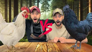 اشترينا فراخ بـ5000 دولار عشان نعمل مقارنة !! النتيجة صدمة😱