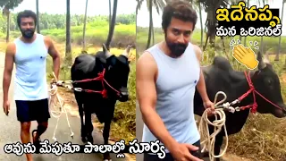 సూర్య సింప్లిసిటీ 👌 | Hero Suriya Shared Lovely Video | Hero Suriya Latest Viral Video | Sahithi Tv