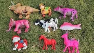 elephant horse fish cow buffalo deer dinosaur dog sleep on grass ช้าง ม้า วัว ควาย ไดโนเสาร์บนหญ้า