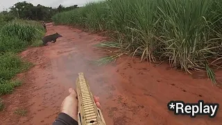 Caçada de Natal - Parte 01