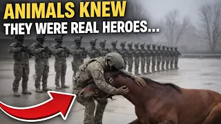 You Won’t Believe How These Animals Treated Soldiers