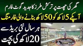 Goat Farming Business idea in pakistan
