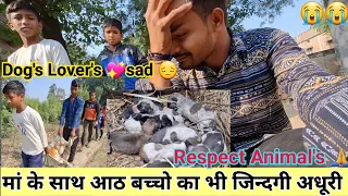 Heart ❤️ Touching video for Animal's Lover's😭 (बेजुबानो को न मारे)@shriram_29  #vlogs