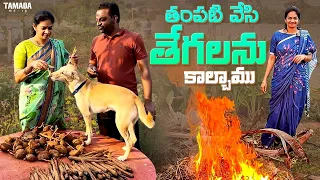 ఇంత కష్టపడితే కానీ తేగలు రావా | Palm sprouts burning in the farm | @MADGARDENER