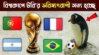 world cup prediction | ফুটবল বিশ্বকাপ কে জিতবে ভবিষ্যৎবাণী করলো পেগুইন টবি