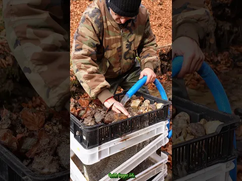 Found Real Gold in the Mountains — New Modular System Test
