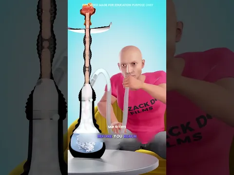 হুক্কা কীভাবে কাজ করে? | How A Hookah Works 🤔| The Saif Shorts