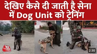 देखिए कैसे दी जाती है Indian Army में Dogs की Training | Indian Army | Army Dog Training