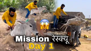Mission रेस्क्यू day 1 l सड़क पर तड़प रहा गाय का बछड़ा बचाया देखो 😱l सड़क से गौशाला का सफ़र l live