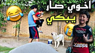 جبت جلب للبيت وخواني يبجون💔