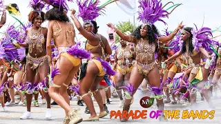 MTV Carnival Tuesday Parade of the Bands, St. George