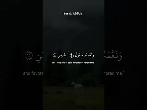 أكتب شيء تؤجر عليه 🪐🤎.