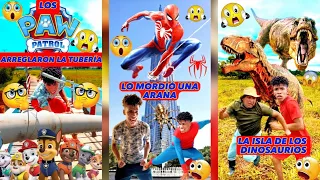 LOS PAW PATROL AL RESCATE (REGOPILACION)