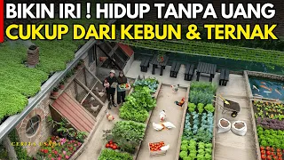 BIKIN IRI ! PASUTRI HIDUP TANPA UANG DARI KEBUN DAN TERNAK HALAMAN RUMAH | CERITA USAHA YOSO FARM