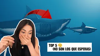 Top 5 Animales Más Grandes del Mundo 🐋 | Increíbles Datos y Curiosidades