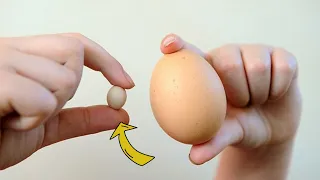 15 cosas que NO sabías hace 5 minutos 🧠⏰ [2]