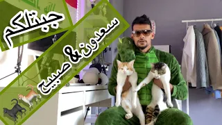جبتلكم سعدون وصبيح 🐈&🐈‍⬛