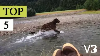 TOP 5 funny videos this week || ViralBear