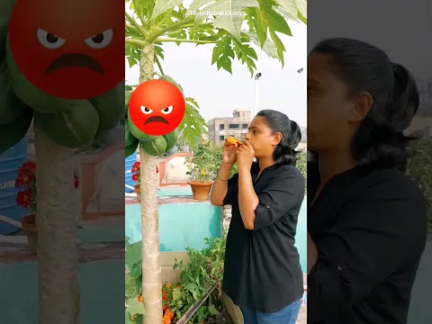Fun with Balloons 🎈Papita aur Ninni ne Nimboo ke sath sahi kiya na 🤣