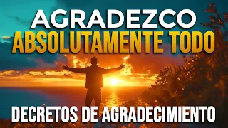 🌟 AGRADEZCO ABSOLUTAMENTE TODO - Gracias Gracias Gracias - Afirmaciones de Gratitud 🙏🌟