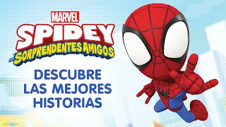 Spidey y sus sorprendentes amigos: Compilado 1