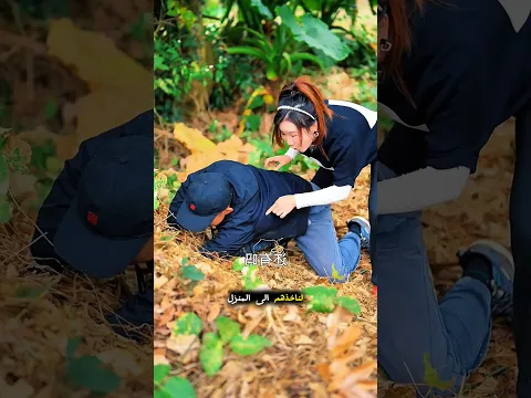 أصغر دجاجة في العالم تبني قصرًا مذهلًا! 😱🐥 !! #shorts