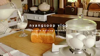 새벽 5:30 기상 미라클모닝 자취일상. 타코 목욕하는 날, 마당 울타리 칠하고 물냉면, 로투스 스모어 쿠키 만드는 브이로그 | Miracle Morning