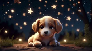 💤SLEEP MEDITATION for KIDS💤Bedtime Story: The Puppy’s Sleep💤Help Kids Fall Asleep Fast💤