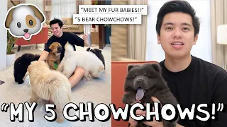 "MEET MY 5 CHOWCHOWS!!" 🐶😱 (ULAP, HEAVEN, GABBI, ALAB & STORMI) ✨ | Kimpoy Feliciano