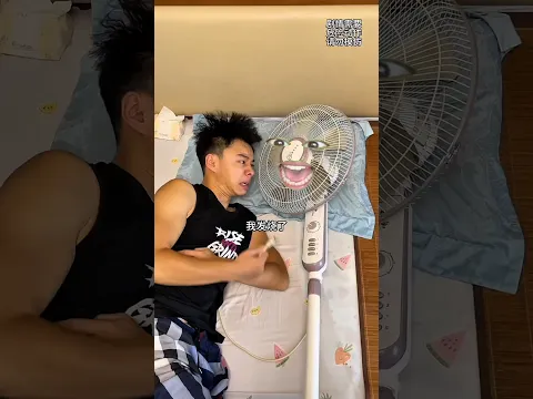 fan son