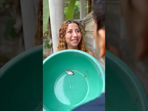 ATRAPE UN PESCADO 🐟
