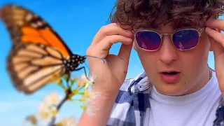 l Tried The Colorblind Glasses