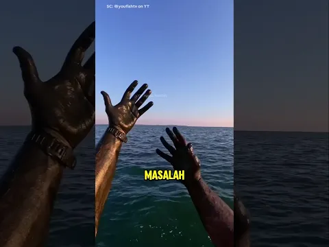 Jangan pernah melakukan hal ini🦑
