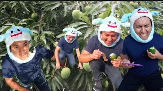 PROBANDO MANGO RARO 😋🥭🥭 #shortvideo #humor #actuacion #viral