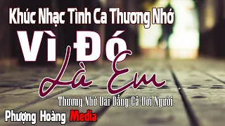 Khúc Nhạc Tình Ca Thương Nhớ Dai Dẳng Cả Đời Người – Vì Đó Là Em | Tình Khúc Hải Ngoại Sang Trọng
