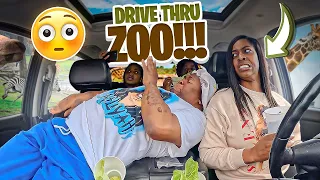 WE ALMOST GOT ATE BY WILD ANIMALS IN A DRIVE THRU ZOO (HILARIOUS)