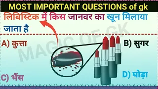 most important gk ( which animal blood are mixed in lipistic) gk questions in hindi | magic of gk|