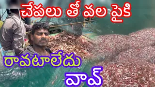 one day fishing lo చేపలు తో వల పైకి రావటలేదు amazing video #fishing #youtube #vizag #subscribe 🙏❤️