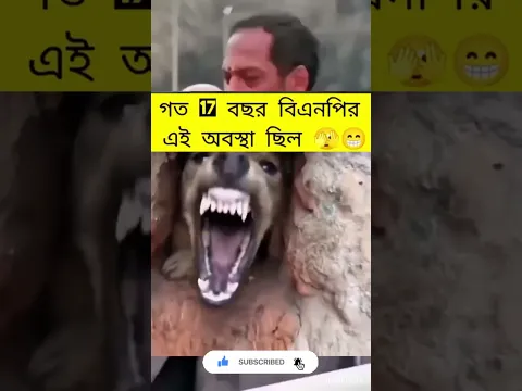 গত ১৭ বছর বিএনপি #reels #funny #foryou