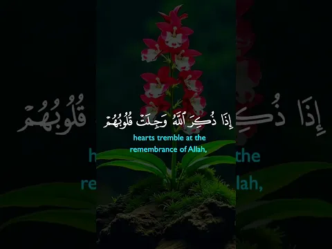 Amazing recitation /Quran #duet #beautifulrecitation #shotsvideo #shortfeed #shortviral #trending